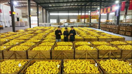 柑橘、檸檬、大蒜……重慶特色農(nóng)產(chǎn)品出海喜迎“開門紅”